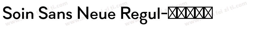 Soin Sans Neue Regul字体转换